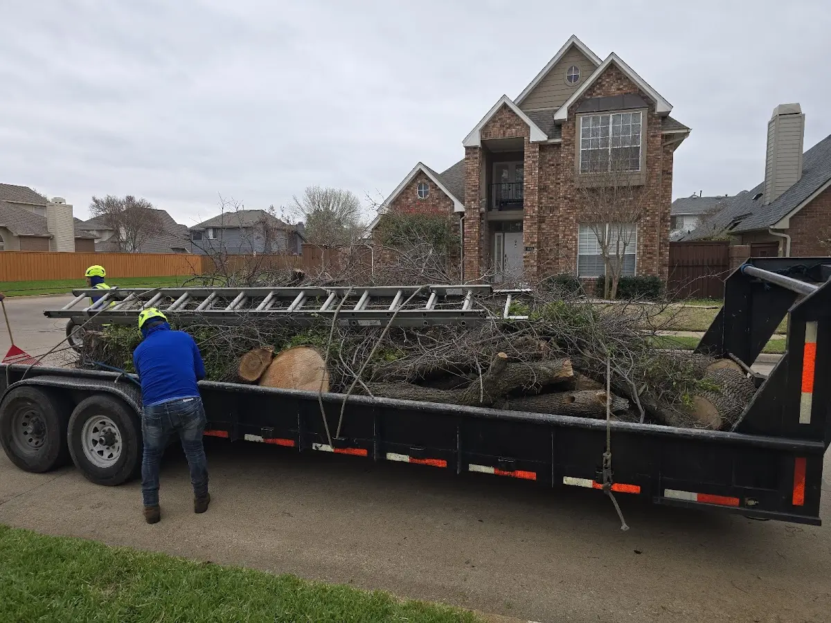 Expert Lot Clearing with proper safety equipment in Harleigh